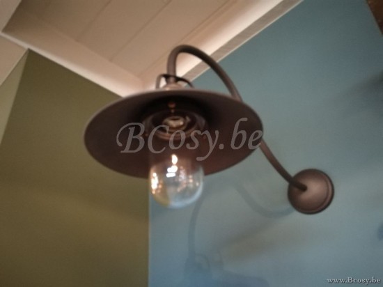 Marckdael VVD billiardo-biliardo donker brons outdoor wandlamp VVD VDV Verlichting van Dijck Dyck Markdaal.