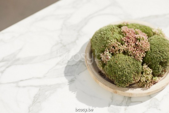 Diphano TAB5000542-0001.