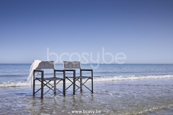 Jardinico MANTRA BISTRO Director Chair Anthracite Textile.