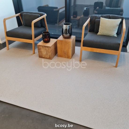 Jardinico RUGS WILSON Rechthoekige Buitentapijt 300x400 280x390 Shell.