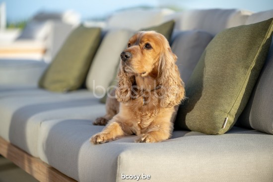 Jati Kebon Truro Salon de Jardin Base salon 2 places + 1 pièce en teck Aluminium anthracite mat.