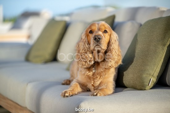 Jati Kebon Truro Lounge Loungebasis 3-zit + 1 teakdeel Antraciet mat aluminium.