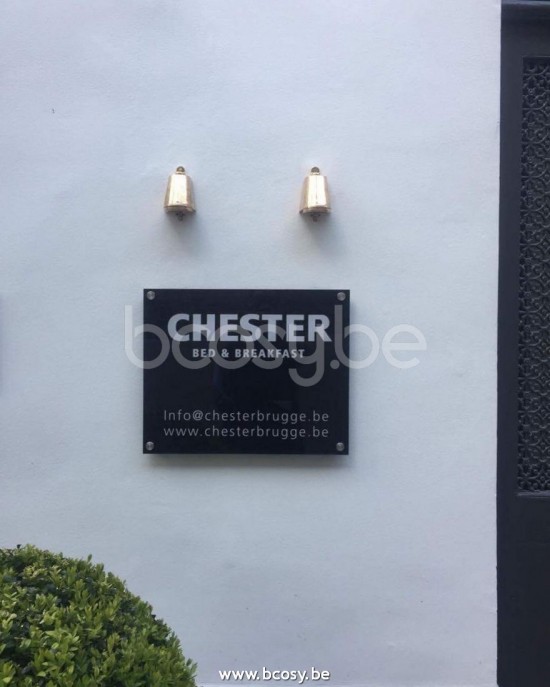 Tekna Nautic SPREADERLIGHT 230V-LED-laiton poli.