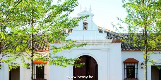 Tekna Nautic PAGODE N093DBR222HG.