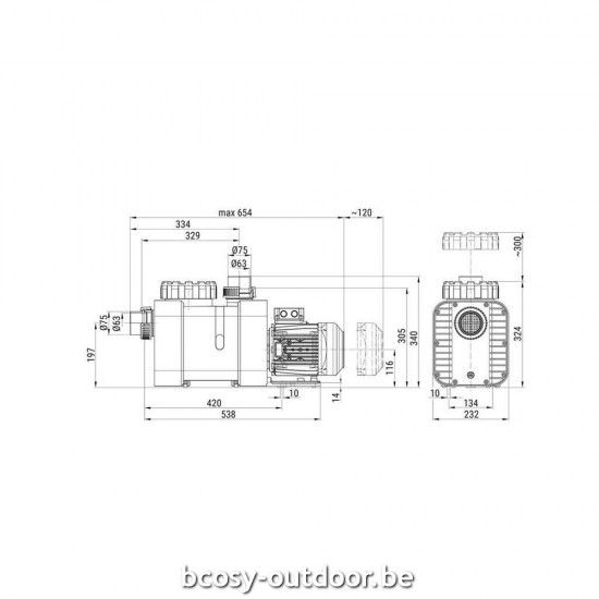 Speck Zwembadcirculatiepomp Zwembadpomp BADU Delta 17.