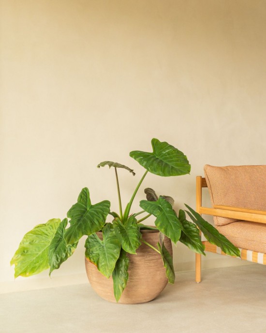 Vincent Sheppard Pot à plante Saya Rond Saya Set de pots ronds.