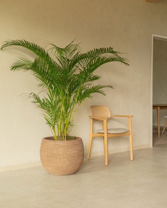 Vincent Sheppard cache pot Saya Saya Set de pots ronds.