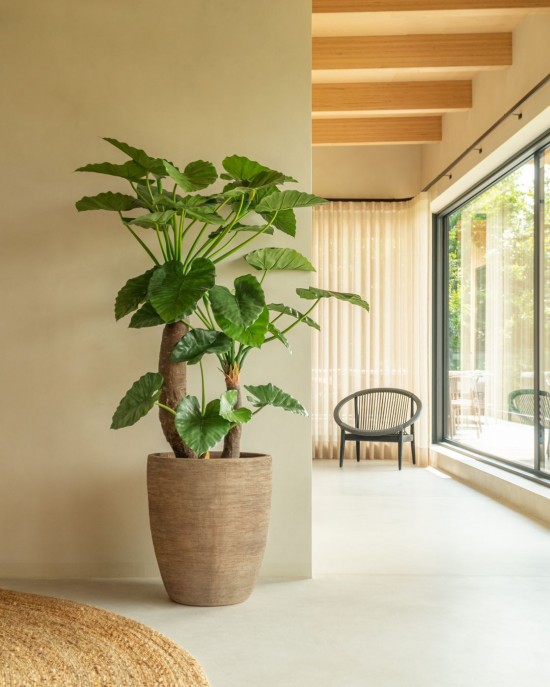 Vincent Sheppard cache pot Saya Saya Set de pots ovales.