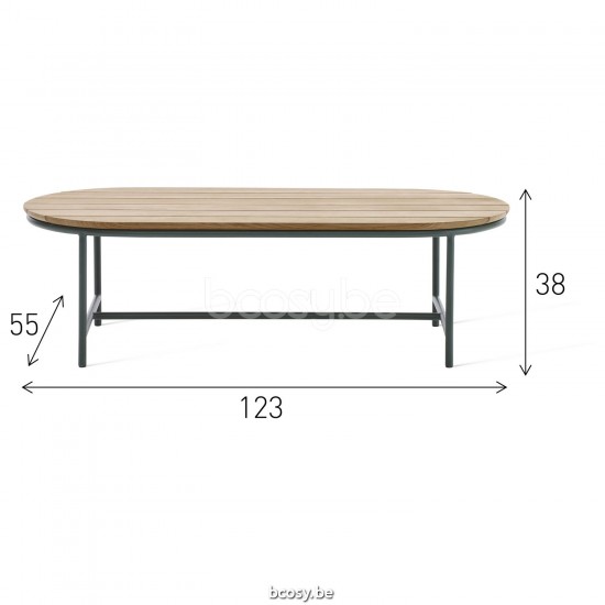 Vincent Sheppard Wicked Garden Coffee Table 123x55 Black Aluminium frame Untreated Teak top.