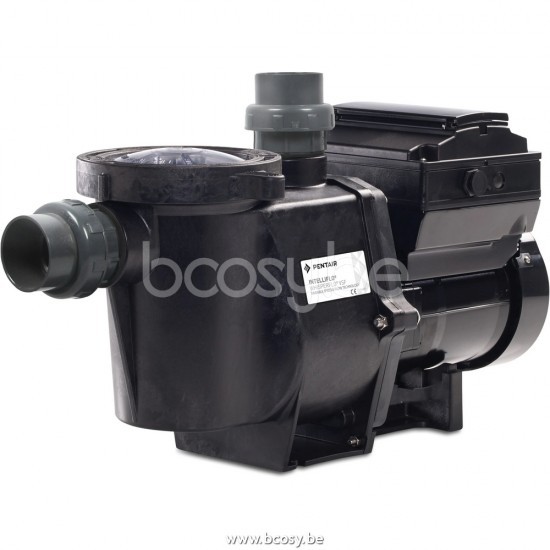 Mega deals % op Pentair Zwembadpomp 2" binnendraad 230VAC type WhisperFlo IntelliFlo 2 WFL-VSF