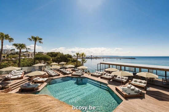 TUUCI Central centre aluminium pole Market sunshades Umbrellas.