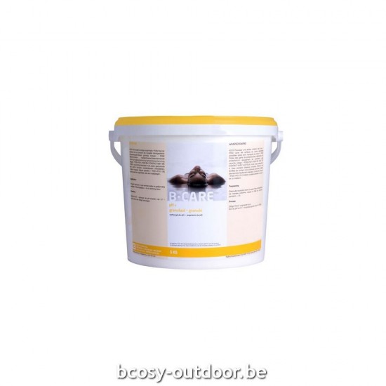 B-Care Zwembad PH regeling pH-plus (granulaat) - 5kg.