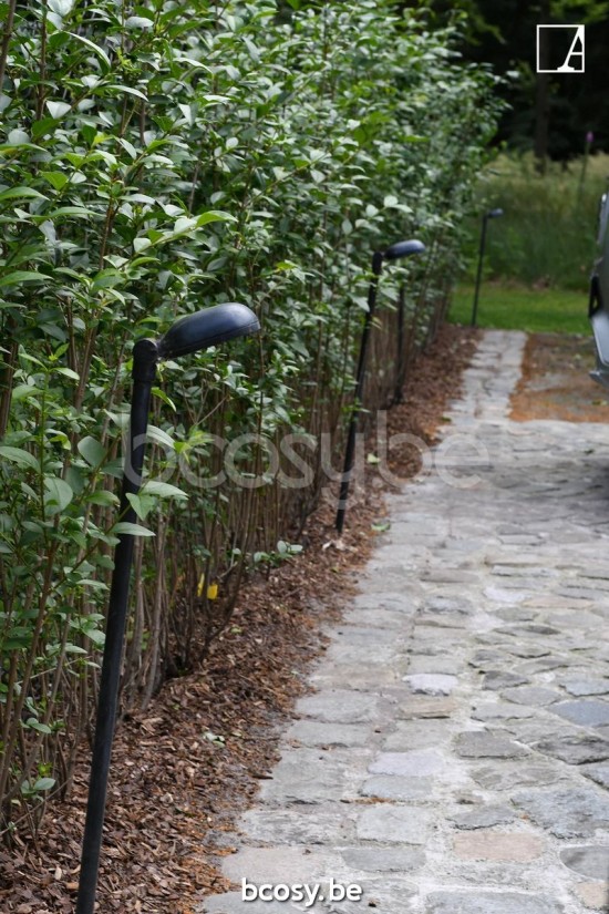 Authentage CHA001P10 Authentage CHARMOND Bollard Post light Bronze Authentage Outdoor Garden Lampposts Lichting.