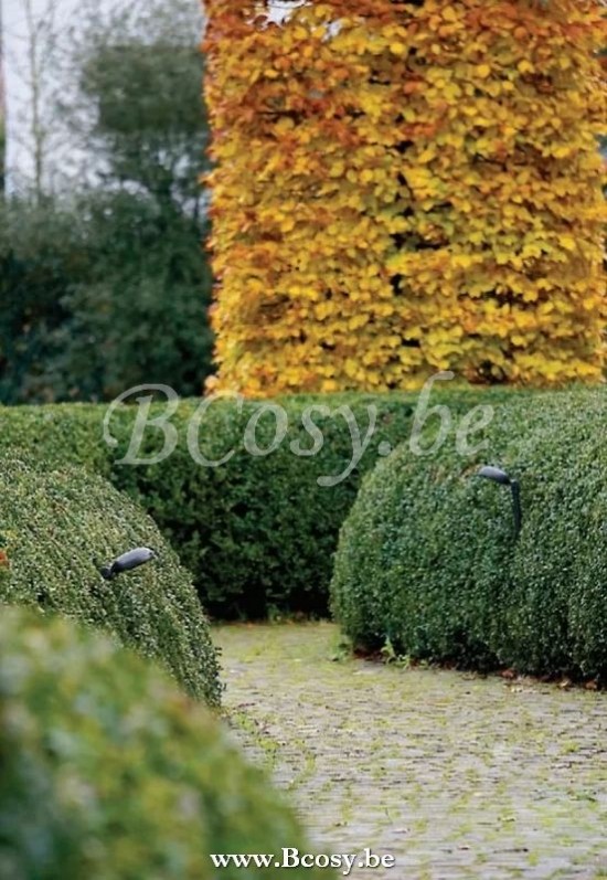 AUTHENTAGE CHA001P51 AUTHENTAGE CHA-001-P51 AUTHENTAGE CHA.001.P51 AUT-CHA001P51.