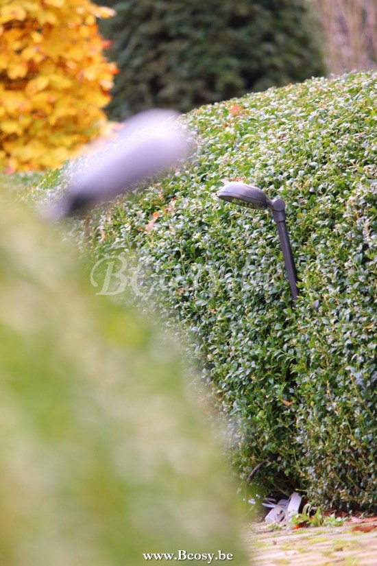 Authentage CHA0L1P51 Authentage CHARMOND Bollard Post light Bronze Authentage Outdoor Garden Lampposts Lichting.