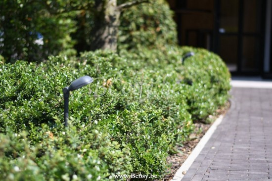 Authentage CHA0L1P51 CHARMOND Tuinpaal lampverlichting Bronze Authentage Outdoor Oprit Buitenverlichting Paallampen Tuinpalen Buitenverlichting.