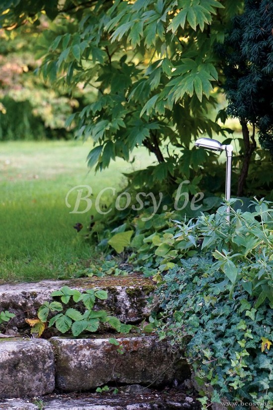 AUTHENTAGE CHA1L1P51 AUTHENTAGE CHA-1L1-P51 AUTHENTAGE CHA.1L1.P51 AUT-CHA1L1P51.