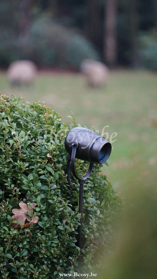 Lampentotaal Authentage Prikspot Micro Pin landelijk.