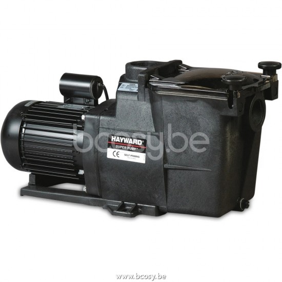 Hayward Zwembadpomp 1 1/2" binnendraad 230VAC type Super Pump 0,75pk BOSTA 2001257