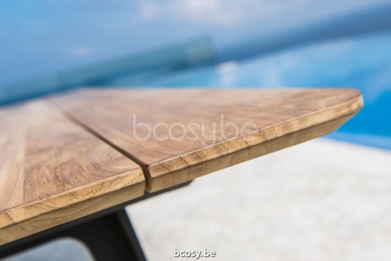 Jati Kebon Elko Table de jardin Aluminium anthracite mat Dessus de table Teck.