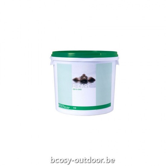 B-Care ZwembadChloortabletten Eur-O-Choc rapid (granulaat) - 10kg PPG 3034040003.
