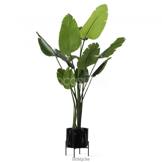 Vincent Sheppard Pot à plante Ivo S Ivo Rond Pot de fleurs petit Cadre en Acier Noir Cordon en osier Noir Polyéthylène.