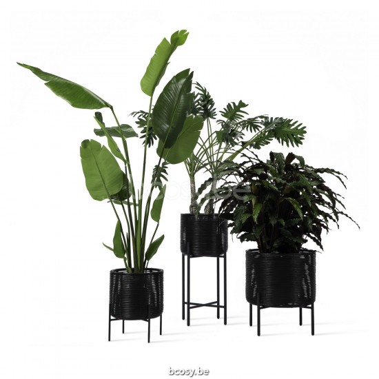 Vincent Sheppard GA901-M007-S010 Vincent Sheppard GA901M007S010 Vincent Sheppard lecedrerouge VIN-GA901M007S010.