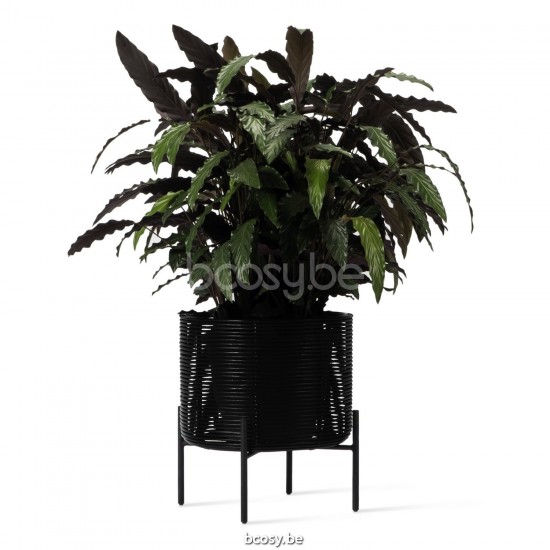 Vincent Sheppard Pot à plante Ivo M Ivo Rond Pot à plantes moyen Cadre en Acier Noir Cordon en osier Noir Polyéthylène.