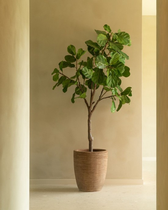 Vincent Sheppard Pot à plante Saya Oval Saya Set de pots ovales.