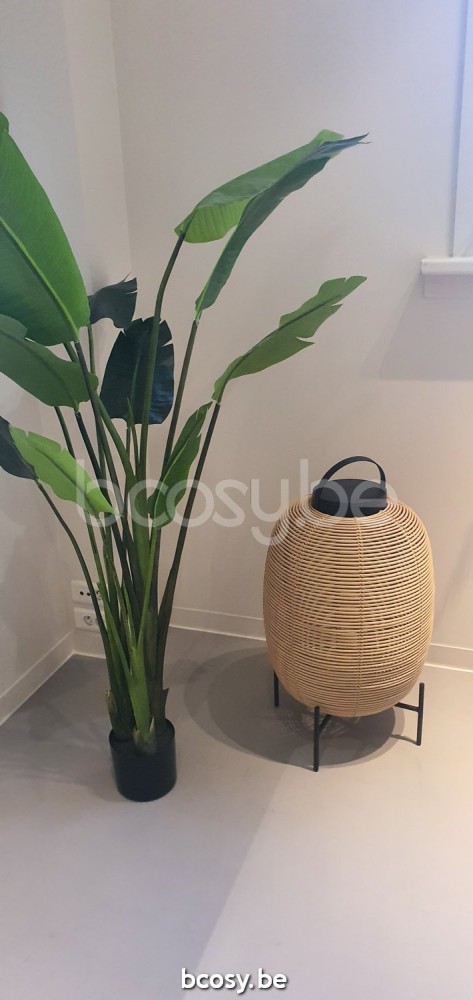 Vincent Sheppard Tika Buitenlantaarns Zwart Stalen frame Camel Wicker koord Polyethyleen.