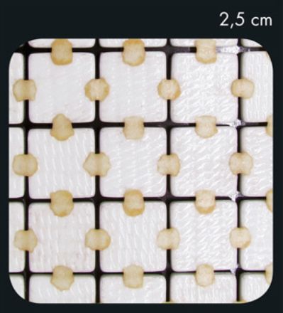 glasmozaieken met dots op de achterzijde voor zwembadtoepassingen